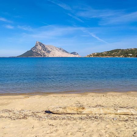Corbezzoli Βίλα San Teodoro  Εξωτερικό φωτογραφία